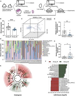 Characteristics of the Gut Microbiome and IL-13/TGF-β1 Mediated Fibrosis in Post-Kasai Cholangitis of Biliary Atresia